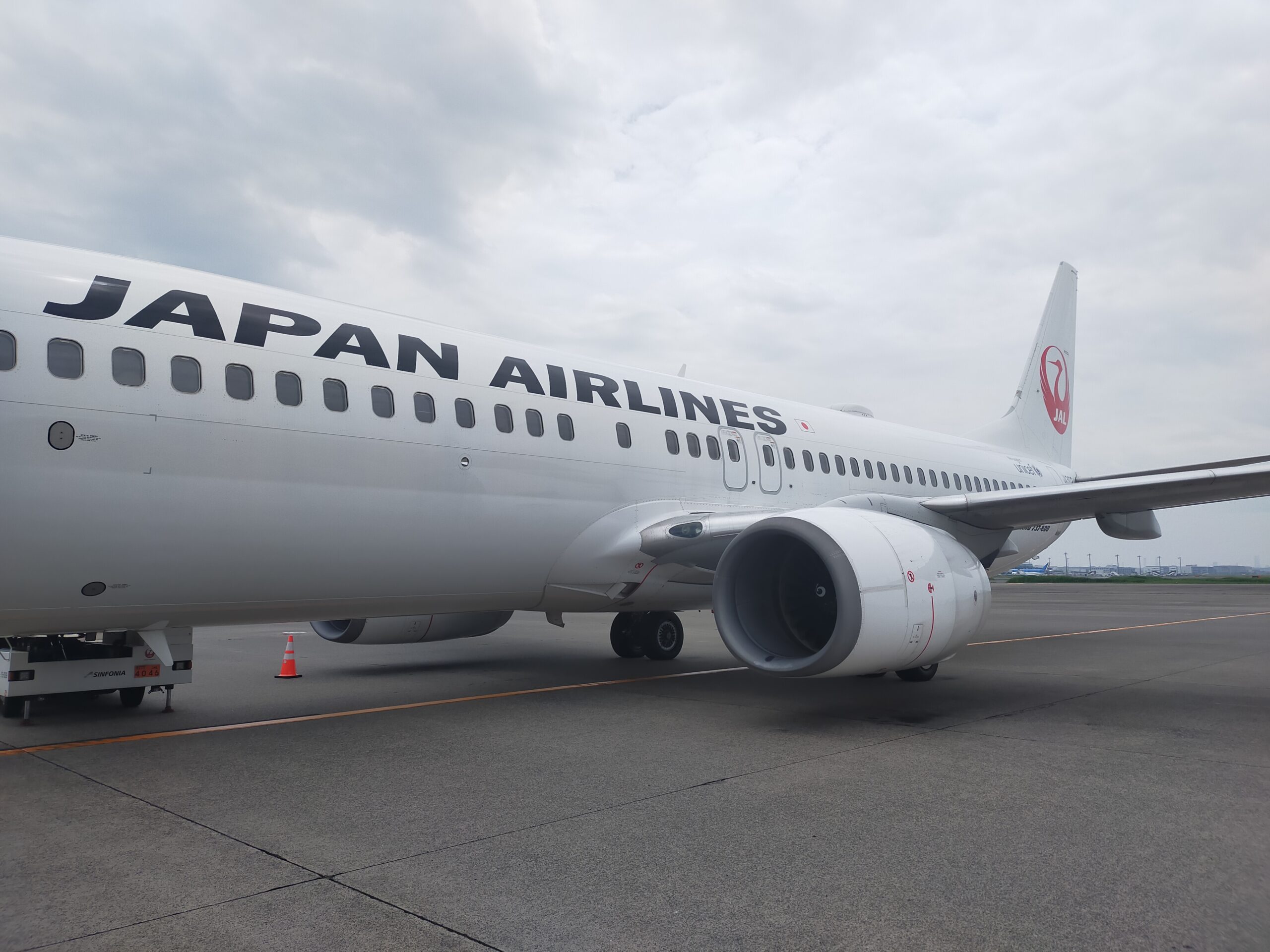 JAL航空機の画像