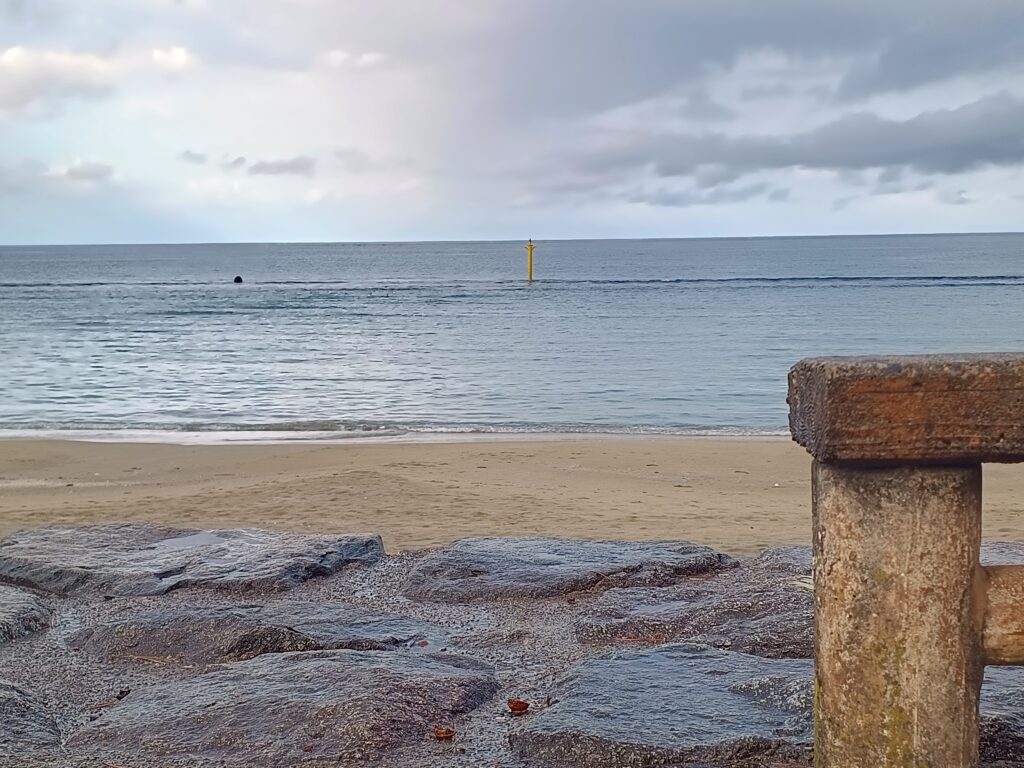 ただ君に晴れ 靴飛ばしシーンの現地写真（雨晴海岸）