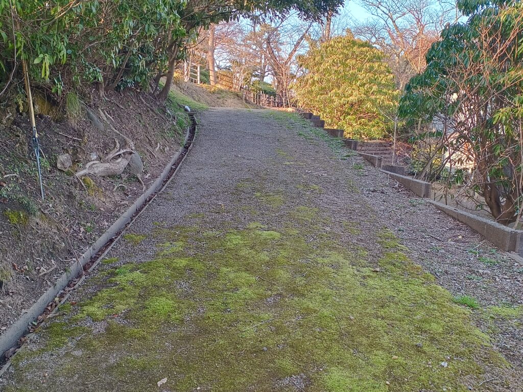 ただ君に晴れ 上り坂シーンの現地写真（雨晴海岸）